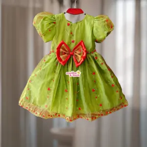 Soft Organza Party Frock OP4T1